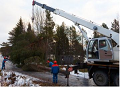 Sioux Falls Tree Care
